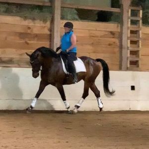 Meet your Posher, Deborah